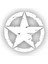 Army Star Sticker 10 x 10 cm 1