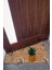Ananas Kapı Önü Paspası Dekoratif Kapı Paspası Dış Mekân Paspas Ev Içi Paspası 45X70CM 5