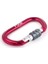 Symmetrıc Screw Gate Kilitli D Karabina Red-Grey 1