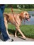 Pet Safe Easy Walk Headcollar Köpek Kafalıklı Tasma Kırmızı Large (27.2 Kg.-59 Kg.) 2