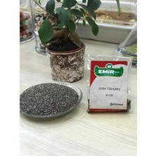 Chia Tohumu