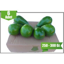 Tevfik Aşlama Çiftliği Avokado - 6'lı - (Adet 250-300 Gr.) - Iyi Tarım Uygulaması