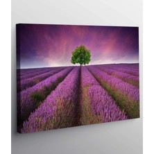 MonoStella Lavanta Tarlası Kanvas Tablo