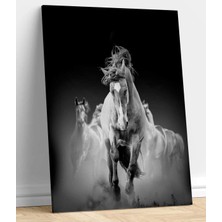 MonoStella At Kanvas Tablo