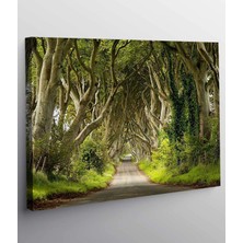 MonoStella Orman Yolu Kanvas Tablo