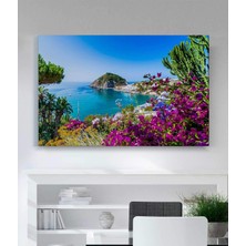MonoStella Ischia Adası Tablosu
