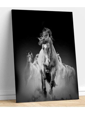 MonoStella At Kanvas Tablo