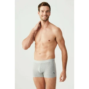 U.S. Polo Assn. 80173 Erkek Gri Melanj 3'lü Boxer