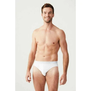 U.S. Polo Assn. 83057 Erkek Beyaz 3'lü Slip
