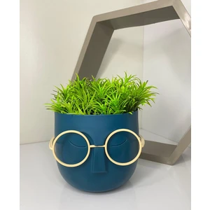 Profesör Saksılar Yapay Sukulent Çiçek Gözlüklü