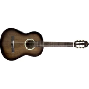 VC404 Hsb - Historic Burst Klasik Gitar
