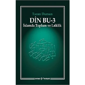Din Bu 3