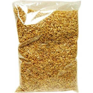 Hanımeli Pet Store Gammarus (Karides) Balık ve Kaplumbağa Yemi 50GR