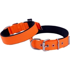 Actire x  Neon Yumuşak Doku Köpek Boyun Tasma Orange Small 52 cm