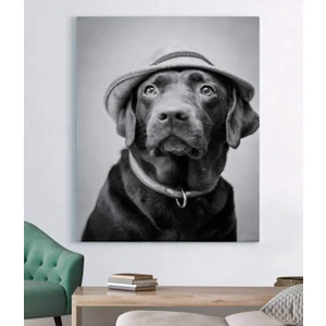 Retro Köpek Kanvas Tablo