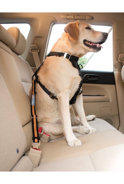 Pet Safe Petsafe Kurgo Direct To Seat Belt Emniyet Kemeri Siyah/kavuniçi K01244