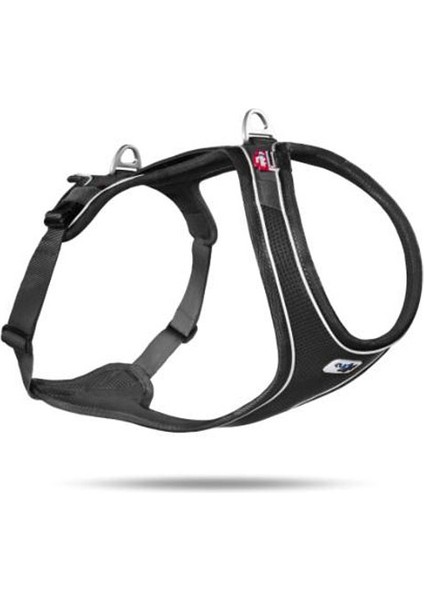 Belka Comfort Siyah M