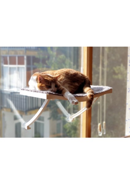 Cama Duvara Asılan Kedi Yatağı Hamağı Evi Plastik Vantuzlu