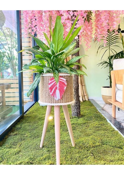 Özel Tasarım Hasır Sepet & Saksı