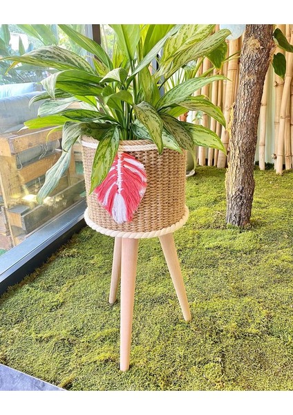 Özel Tasarım Hasır Sepet & Saksı fiyatları