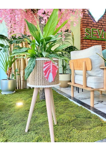 Özel Tasarım Hasır Sepet & Saksı modelleri