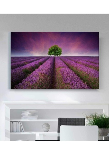 Lavanta Tarlası Kanvas Tablo fiyatları