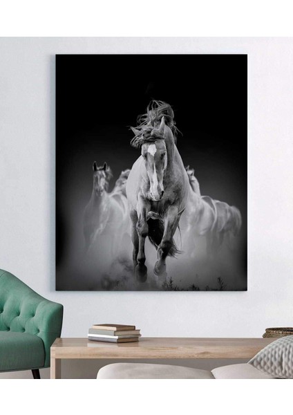 At Kanvas Tablo fiyatları