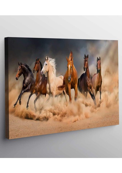 At Kanvas Tablo fiyatları