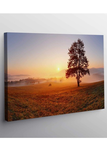 Gün Batımı Ağaç Kanvas Tablo fiyatları
