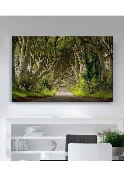 Orman Yolu Kanvas Tablo fiyatları
