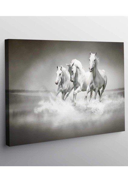 At Kanvas Tablo fiyatları