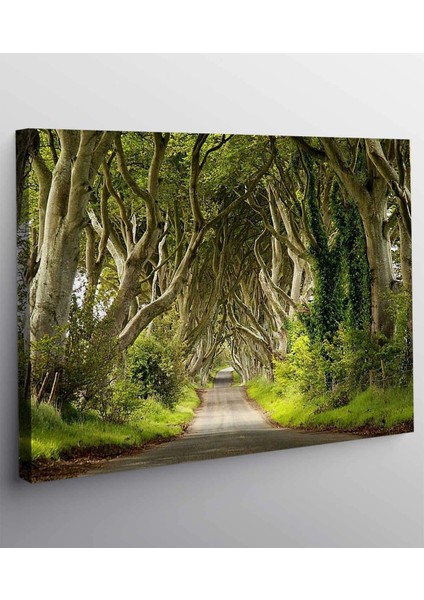 Orman Yolu Kanvas Tablo