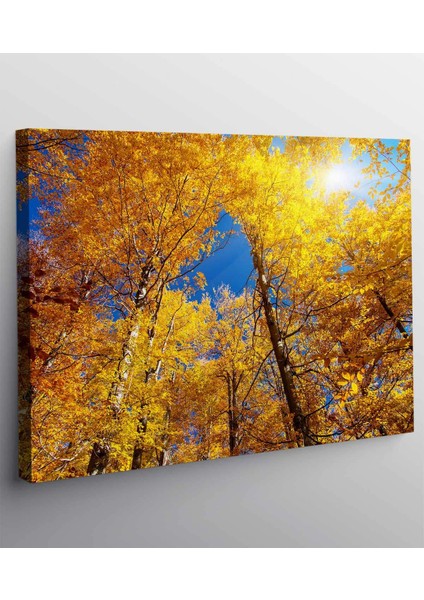 Son Bahar Manzara Kanvas Tablo fiyatları