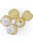 Spagettiyarn Soft Sarı Slim Cotton Ip - 5'li Set 2