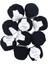 Spagettiyarn Siyah Slim Cotton Ip - 10'lu Set 3