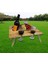 Katlanabilir Açık Şarap Rafı Piknik Masa Şarap Cam Tutucu 34X30X16 cm (Yurt Dışından) 3