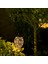Güneş LED Armatür Tomshine CC1.2V 0.065W (Yurt Dışından) 5