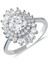 Preciosa Zirconia Taşlı Gümüş Fantazi Yüzük YZG.370 1