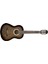 VC404 Hsb - Historic Burst Klasik Gitar 1
