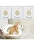 Evcil Hayvan Citi Kitty Kedi Tuvaleti 2