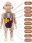 3D Montessori Puzzle Vücut Anatomisi Oyuncak H (Yurt Dışından) 3