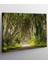 Orman Yolu Kanvas Tablo 1