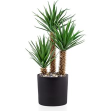 Çılgın Dizayn Çiçekçilik Siyah Saksıda Üç Dal Yapay Kaktüs Aloevera
