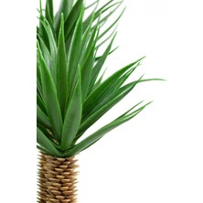 Çılgın Dizayn Çiçekçilik Siyah Saksıda Üç Dal Yapay Kaktüs Aloevera