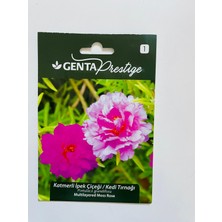 Genta Prestige Katmerli Ipek Çiçeği Kedi Tırnağı Çiçek Tohumu