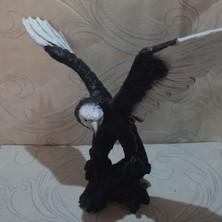Myk Hediye ve Sanat Atölyesi  Büyük Boy Özel Kartal Kutulu Kartal Kanatlı Biblo Ofis Ev dekor