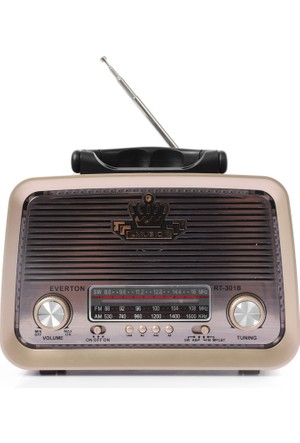 Everton Rt-301 Radyo (Vt-3101) Bluetooth Müzik Kutusu Nostaljik Fiyatı -  Trendyol