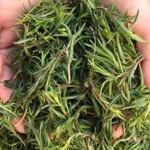 20 Adet Zahter Kekik Tohumu