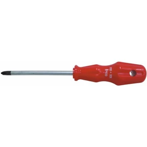 02581 Yıldız Uçlu Tornavida 6X100 mm