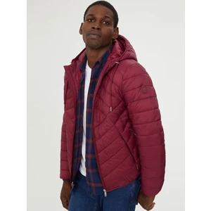 Erkek Mont Magenta LF2022411